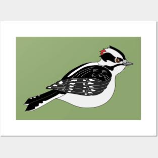 Downy Woodpecker Who Means Business Posters and Art